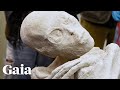 Special Report: Unearthing Nazca