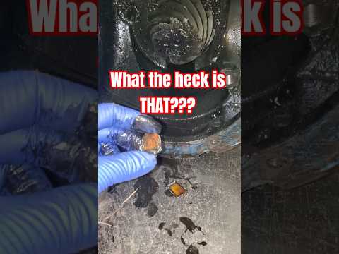 Bonus parts? Ford 8.8 axle disassembly