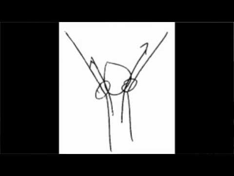 Fluids - Lecture 2.2 - Continuity and Bernoulli's Equation