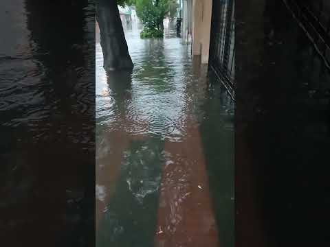 Punta Alta, tormenta y lluvias, calle Humberto inundada  el 07/03/2025 Pdo  Cnel Rosales pcia Bs As