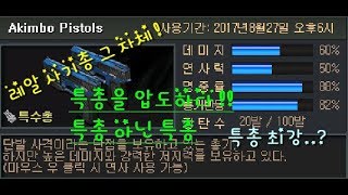 사기총 확실 !