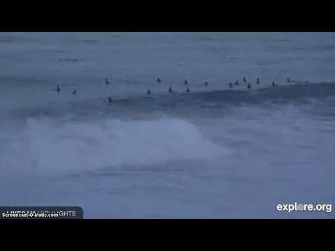 houpity houpy hou hihi