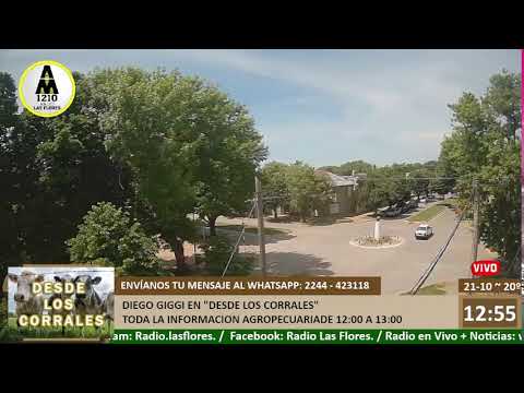 Radio  Las Flores - AM 1210 - FM Cóndor 89.7 - EN VIVO -