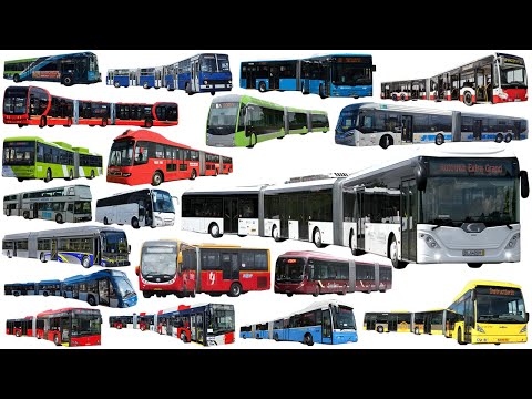 BIGGEST and LONGEST Buses | Top 20 Longest Buses in the World - Learning Vehicle Types of Bus