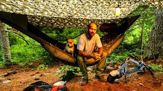 Hammock Camping In The Forest 