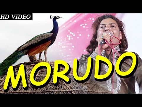 मोरुड़ा MORUDO Superhit Song By Kaluram Bikharniya | MAJISA Bhajan | Live Video | PRG