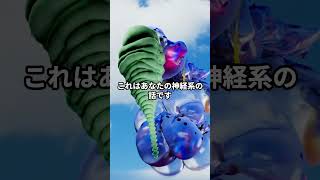 HSS型HSPに使ってはいけない言葉は「考えすぎ」#hspあるある #hspsycho #hsp気質 #hss型hsp気質 #hss型hspあるある