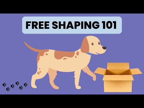101 Things to do with a Box Dog Training | Example of Shaping in Dog Training
