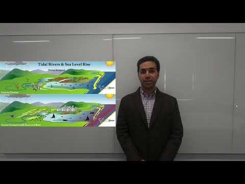 Danial Khojasteh - 3 Minute Thesis, 2020