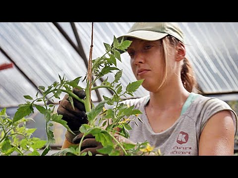 DAS KOMBINAT | Trailer deutsch german [HD]