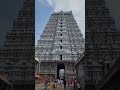Om Namah Shivaya ️ ️ Arunachalam Thiruvannamalai Shivan Shorts Shortvideo Trending Viral