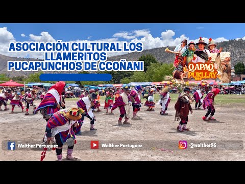 Llameritos - Musica Punena