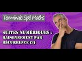 Récurrences Exemple 3