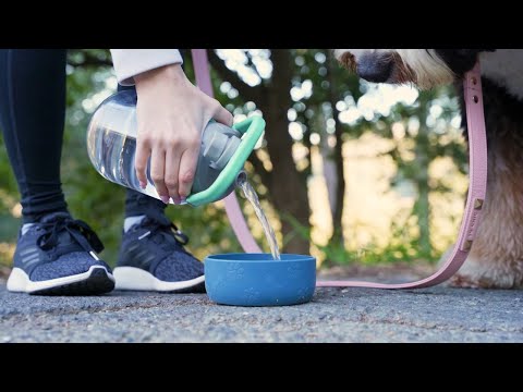 Asobu® Barkley Tritan Bottle & Dog Bowl | Promotional Pet Products