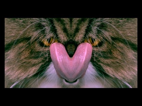 Video thumbnail for Way Up