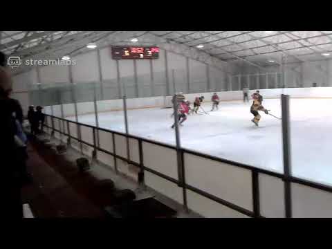 8.2.2020 D2AAA Hermes Österbotten vs Diskos Pun