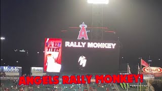 2021 ANGELS RALLY MONKEY!! | 2021 Angels Baseball!