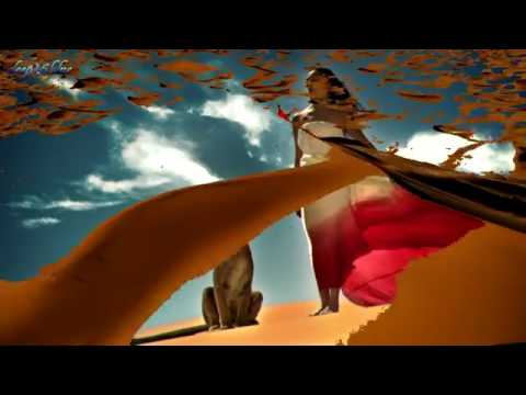 Yanni one man's dream