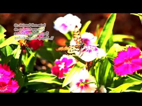 Andayi Lowe Adare - අන්ධයි ලොවේ ආදරේ