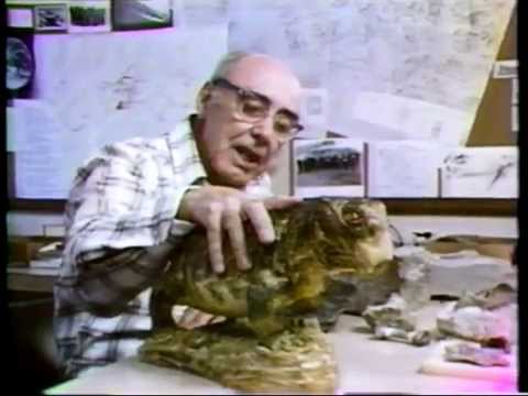 FULL EPISODE Lesson 09 Continental Drift - Understanding the Earth