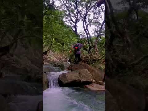 nature #fbreal #hiking #nature #hashtag #new #love #stream