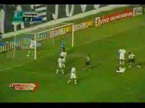 Botafogo 3x3 Santos BR05