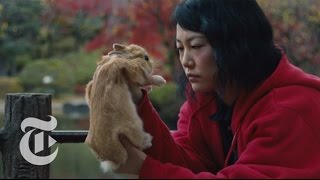 ‘Kumiko, the Treasure Hunter’ | Anatomy of a Scene | The New York Times