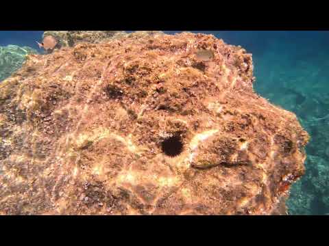 Milia beach underwater - Skopelos, Greece