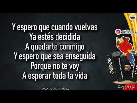 Cuando Vuelvas - Felipe Pelaez | Letra