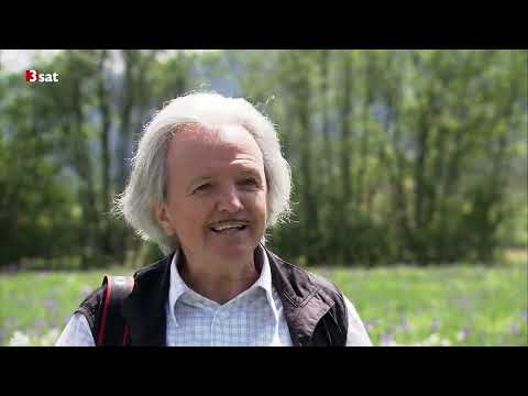 Das steirische Ennstal: Wilde Wasser und steile Gipfel - Dokumentation Deutsch