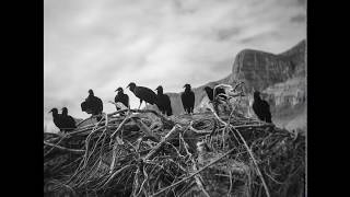 Startle The Heavens - Canyons [Full EP]