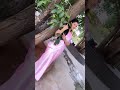 Aishwarya Pisse Recent Insta Reels ️ ️ ️