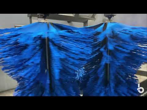 Frank's Carwash Express C-Core top brush