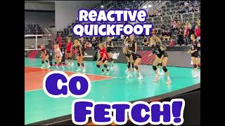 Go Fetch! Neural Reactivity Quickfoot Drill for Warm-up
