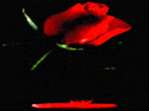 Hip hop tuga -sangue a ferver