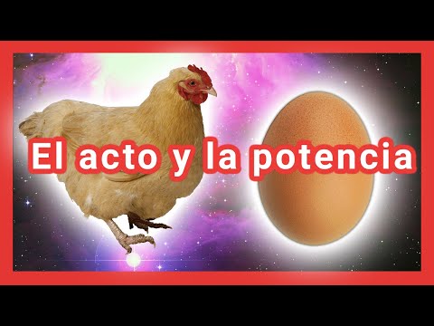 El acto y la potencia | III. Aristóteles 4 | Metafísica | T03 E04