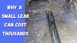 Repair a leak in the Mains Water Line to your house