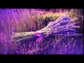 Divine Romance - Laura Hackett 