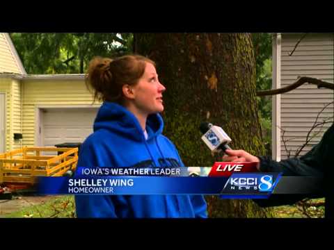 Storm drops trees, branches across Des Moines