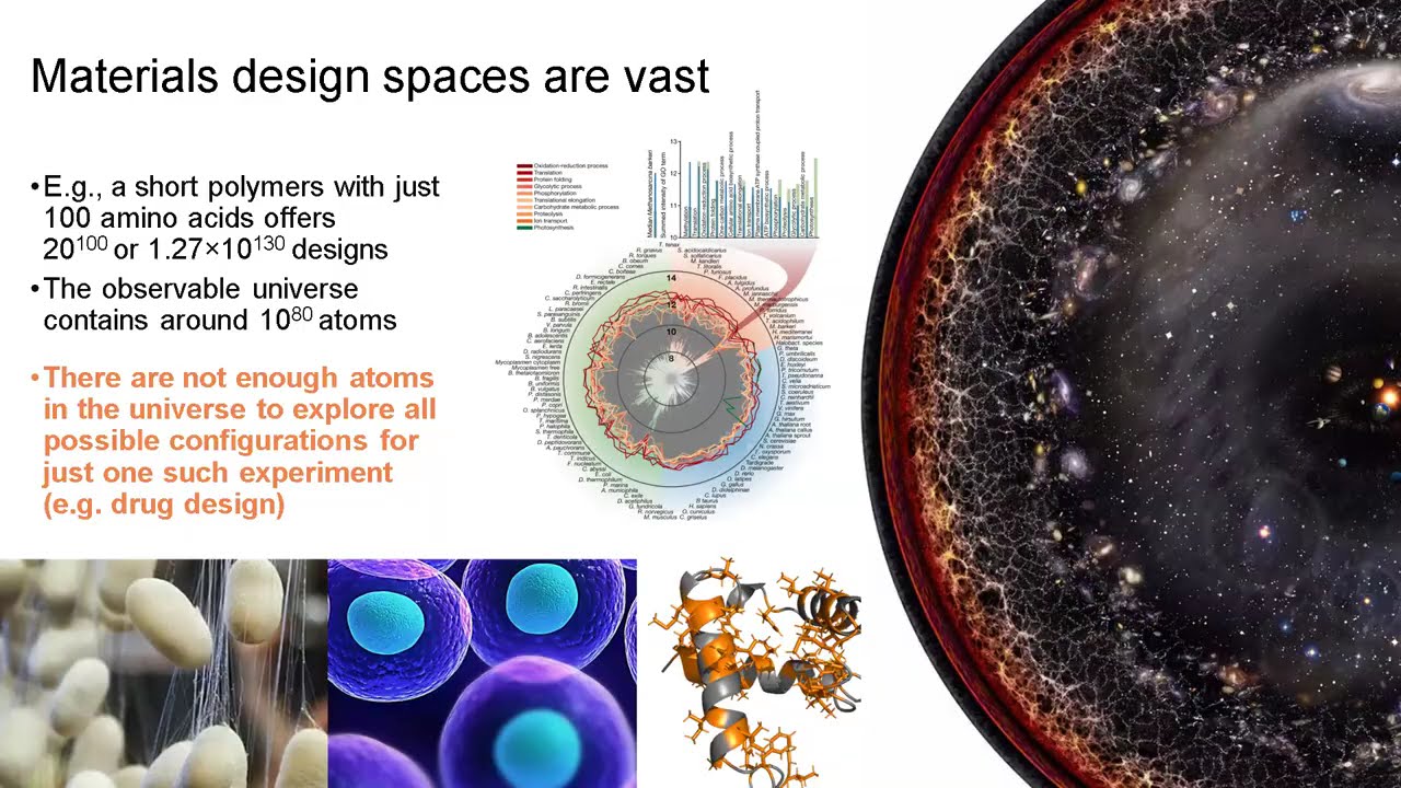 Physics-aware agentic artificial intelligence to model, design and discover proteins