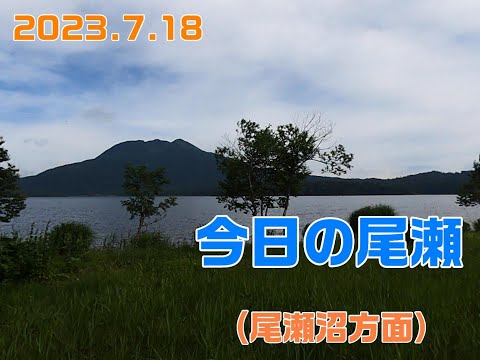 2023.7.18今日の尾瀬沼
