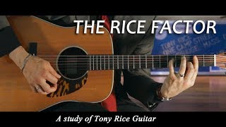 THE RICE FACTOR - EVERY TONY RICE GUITAR LICK STUDY -  by Chris Brennan