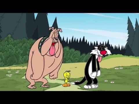 Looney Tunes Webtoons - Full Metal Racket