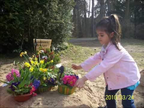 Evo me babo kraj mezara tvoga