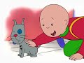 Caillou EPISODE 23 MY FAMILY