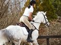 New Dublin Performance Flex Riding Tights