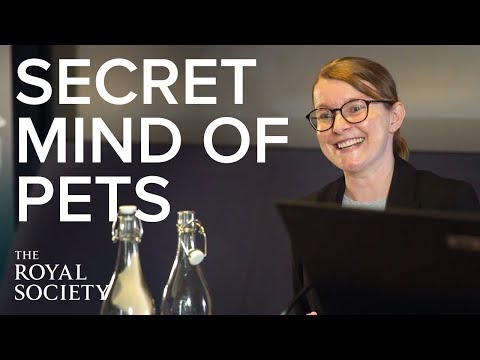The Secret Mind of Pets | Lightning Lectures | Royal Society