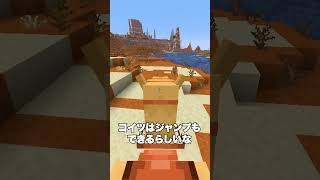 砂漠の猛獣！？