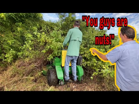 This yard was INSANELY OVERGROWN…WAIT TILL YOU SEE THE HOUSE! [NEIGHBOR SAID WE ARE NUTS!!!]