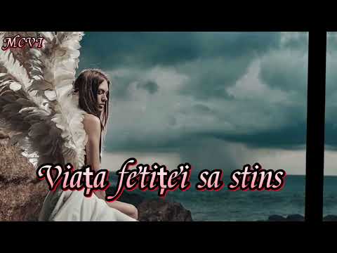 Nicolae Lacatus- Eram tânăr cu speranța (Versuri)